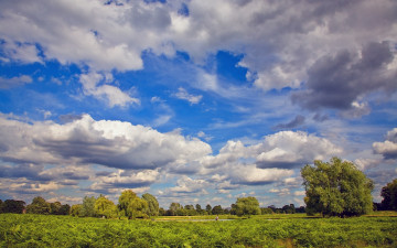 Картинка природа пейзажи