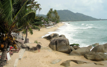 Картинка природа тропики