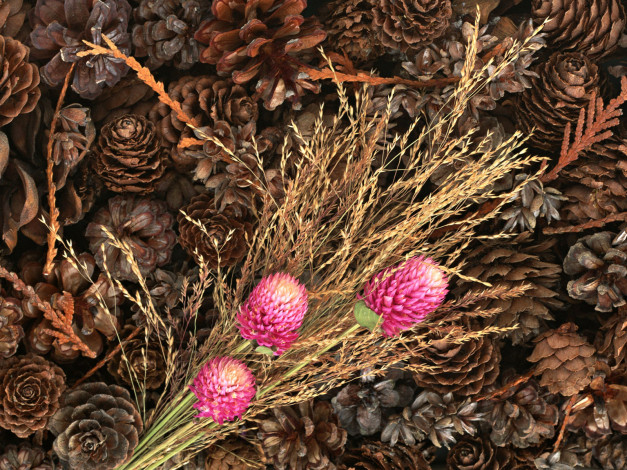 Обои картинки фото цветы, букеты, композиции