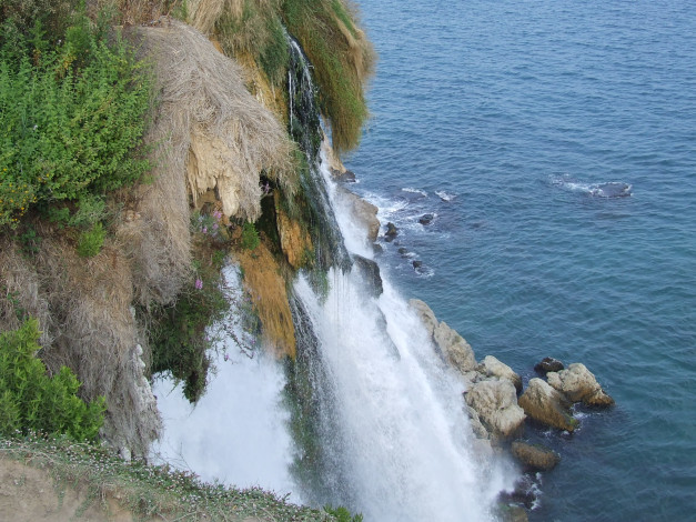 Обои картинки фото природа