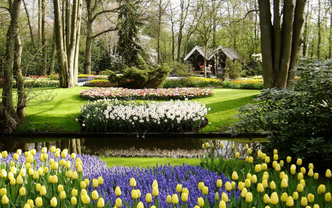 Обои картинки фото природа, парк