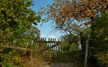 Картинка природа дороги