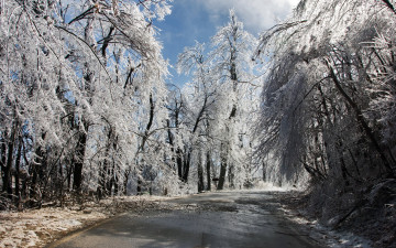 Картинка природа дороги