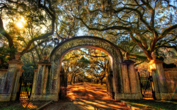 Картинка природа парк