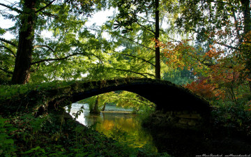 Картинка природа реки озера