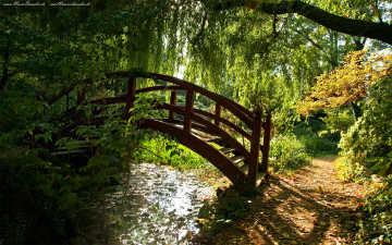 Картинка природа реки озера