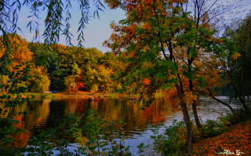 Картинка природа реки озера