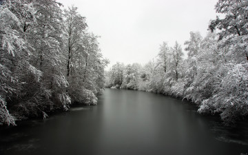 Картинка природа реки озера