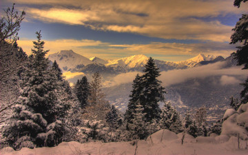 Картинка природа зима