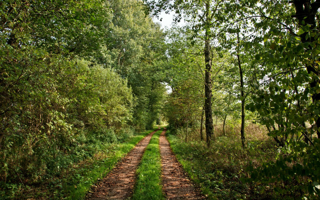 Обои картинки фото природа, дороги