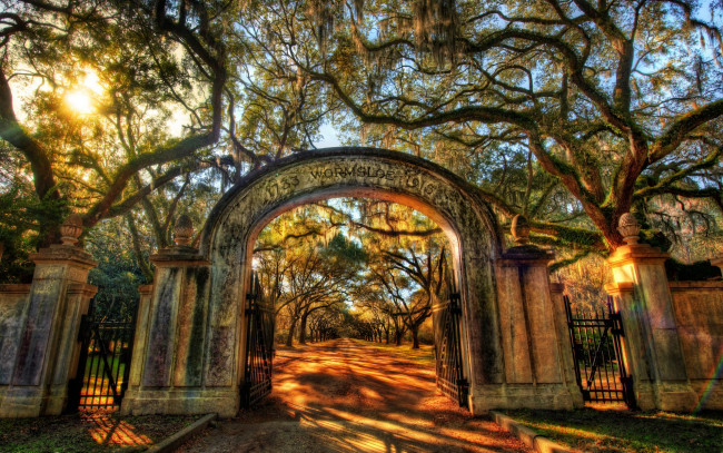 Обои картинки фото природа, парк