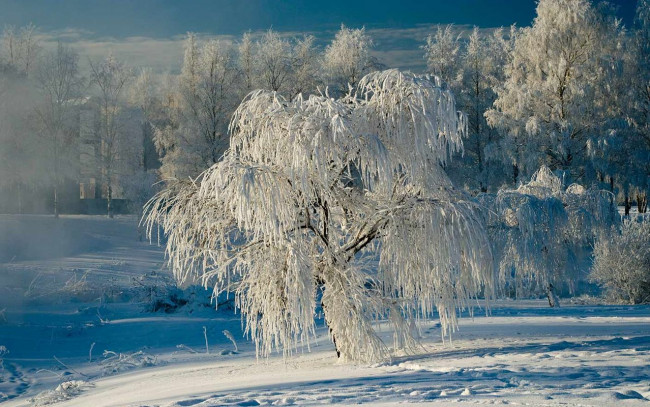 Обои картинки фото природа, зима