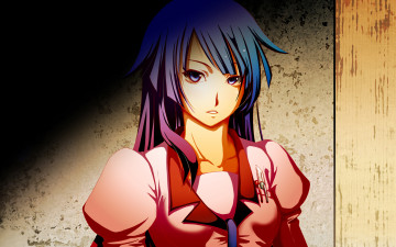 Картинка аниме bakemonogatari девушка senjougahara+hitagi форма галстук инструменты