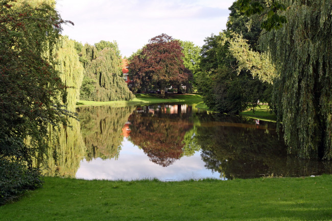 Обои картинки фото природа, парк, пруд, деревья