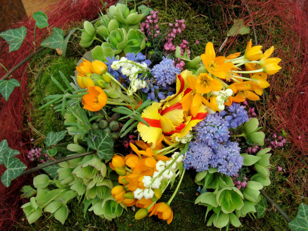 Обои картинки фото цветы, разные, вместе, букет