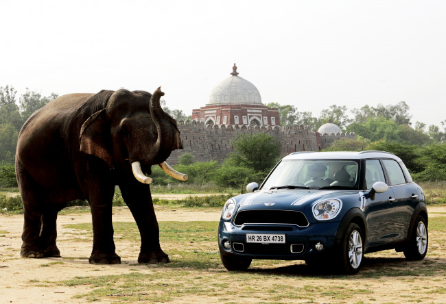 Обои картинки фото автомобили, mini