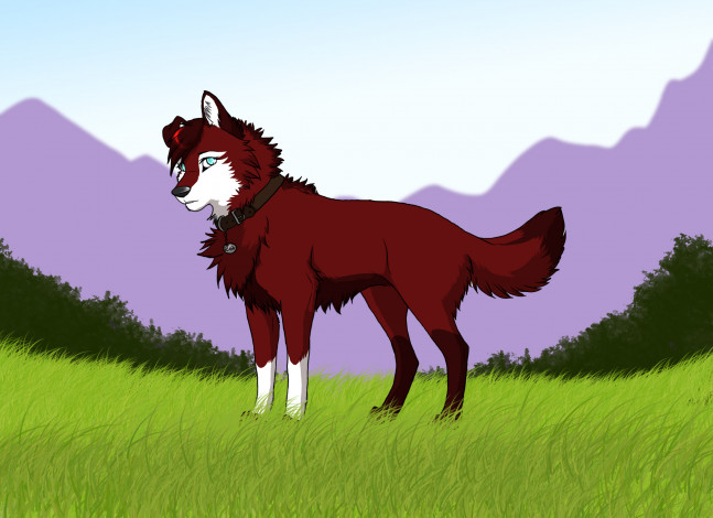 Обои картинки фото рисованное, животные,  собаки, горы, собака, взгляд