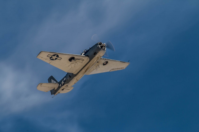 Обои картинки фото авиация, боевые самолёты, палубный, торпедоносец, avenger, grumman