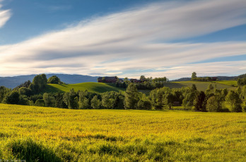 Картинка природа луга дом поле холмы деревья облака трава небо
