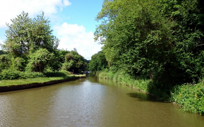 Обои картинки фото природа, реки, озера, деревья, берега