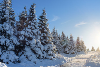 Картинка природа зима снег