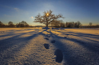 Картинка природа зима снег