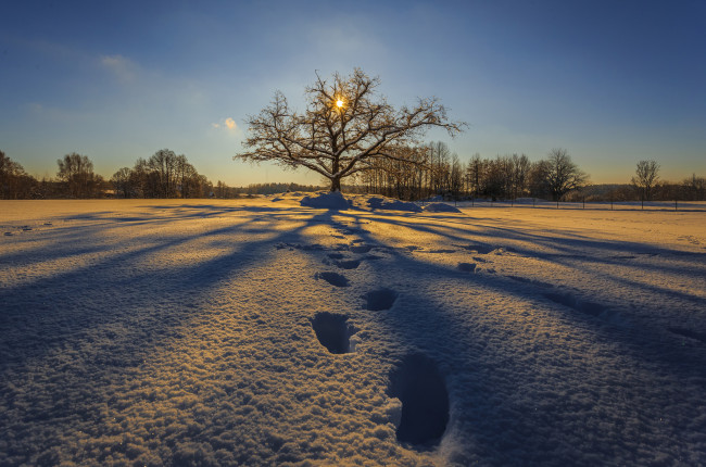 Обои картинки фото природа, зима, снег