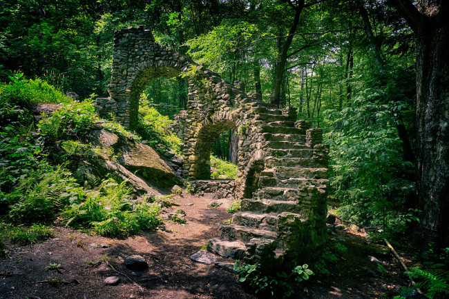 Обои картинки фото природа, лес, деревья