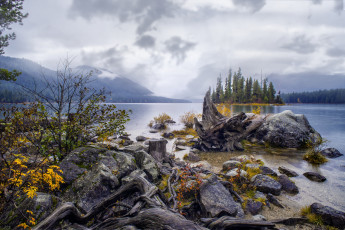 Картинка природа реки озера простор