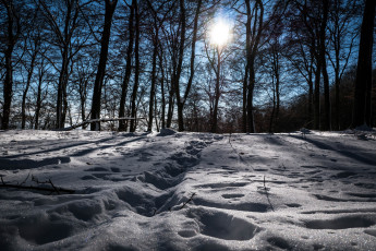 Картинка природа зима простор