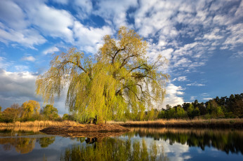 Картинка природа реки озера простор