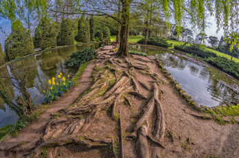 Картинка природа реки озера простор