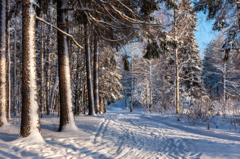 Картинка природа зима простор