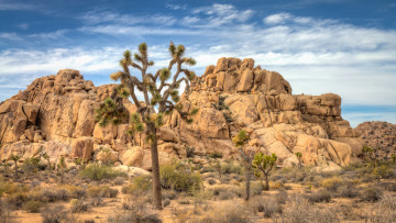 Картинка природа пустыни простор