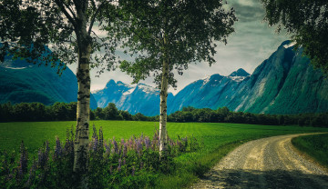 Картинка природа дороги простор