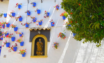 Картинка барселона города -+другое дерево цветы скульптура