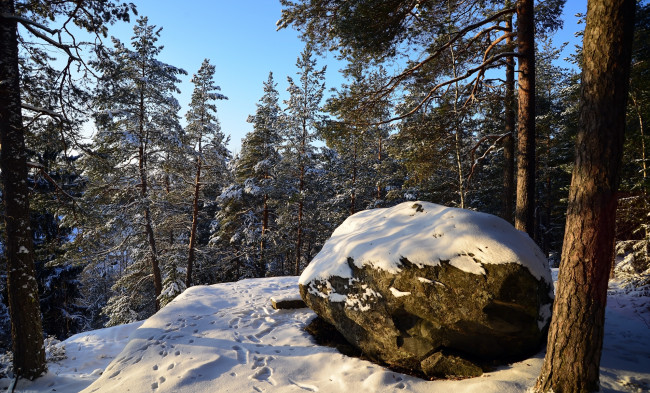 Обои картинки фото природа, зима, простор