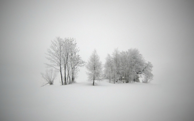 Обои картинки фото природа, зима, снег, деревья