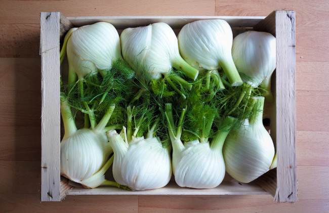 Обои картинки фото еда, лук, снедь