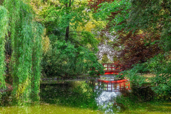 Обои картинки фото природа, парк, простор