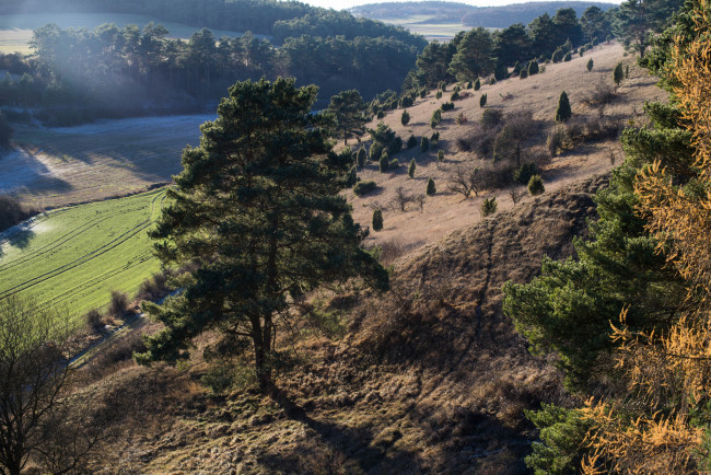 Обои картинки фото природа, пейзажи, простор