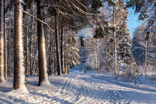 Обои картинки фото природа, зима, простор