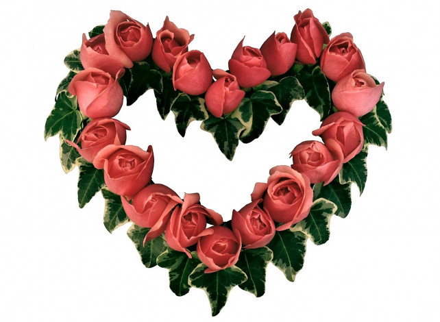 Обои картинки фото цветы, розы, сердечко