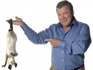 Картинка мультфильмы over the hedge