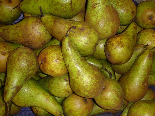 Обои картинки фото еда, груши