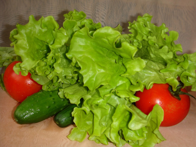 Обои картинки фото еда, овощи, помидоры, томаты, огурцы