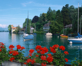 обоя корабли, разные, вместе