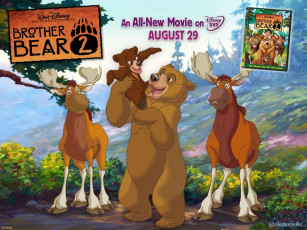 Картинка мультфильмы brother bear
