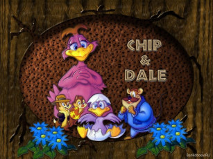 Картинка мультфильмы chip `n dale rescue rangers