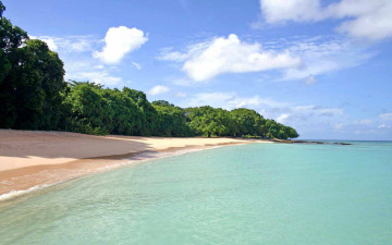 Картинка природа